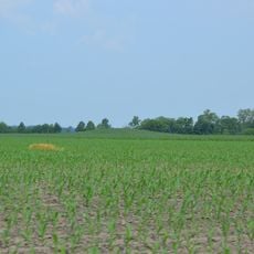 Lunsford-Pulcher Archeological Site
