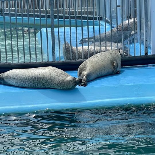 オホーツクとっかりセンター