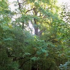 Nature Reserve Jadwisin