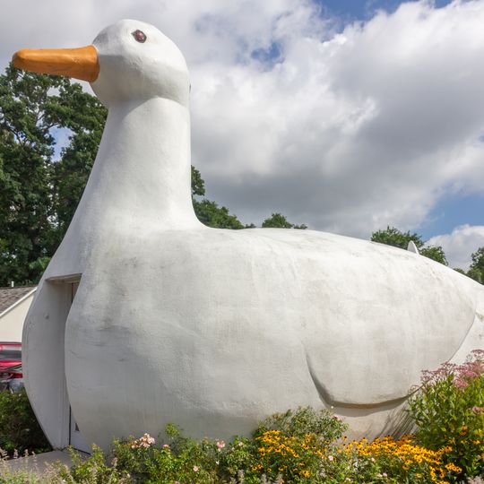 Big Duck