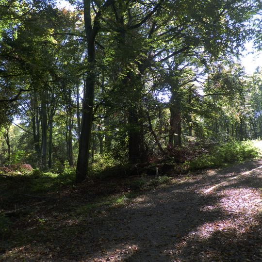 Tippelsberg–Berger Mühle