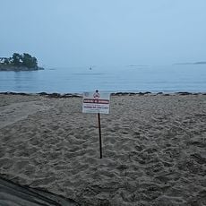 Patch Beach