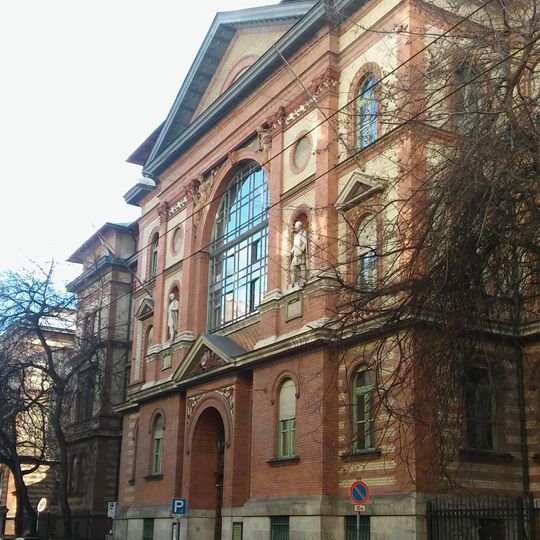 Semmelweis University Department of Transplantology and Surgery