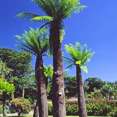 Logan Botanic Garden