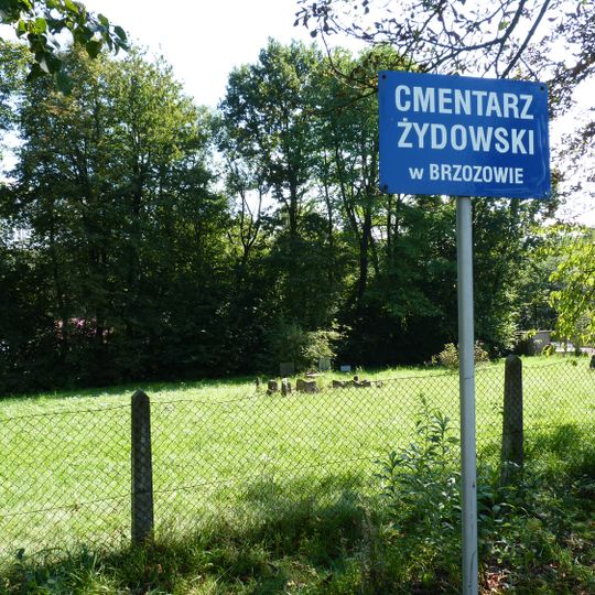Cmentarz żydowski w Brzozowie