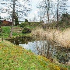 Old carbon schist quarry in Lonnewitz