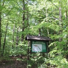 Rezerwat przyrody Buki Zdroiskie