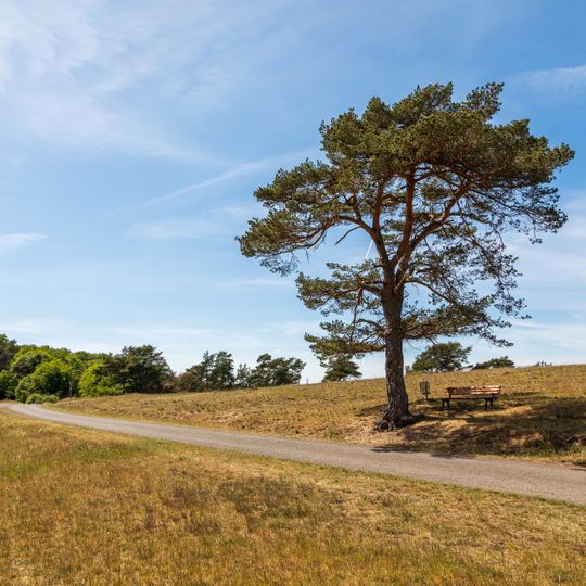 An der alten Rheinstraße