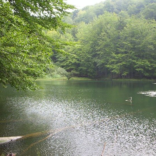 Nature reserves Zwiezło
