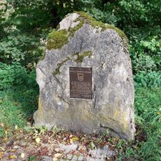 80th US Infantry Division Sauer Crossing