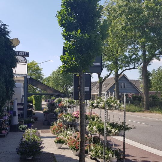 Belgium-Netherlands boundary stone no. 103