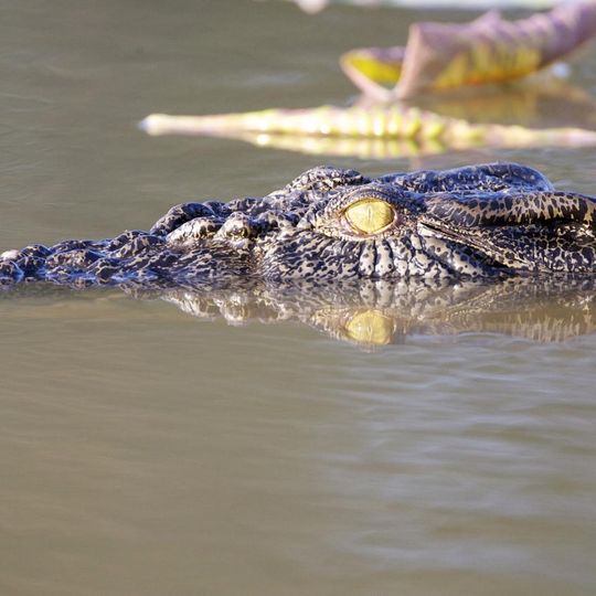 Mary River National Park