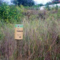 Partida de Calderons