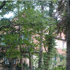 Lückhoffstraße 19