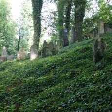 Jewish cemetery in Blovice