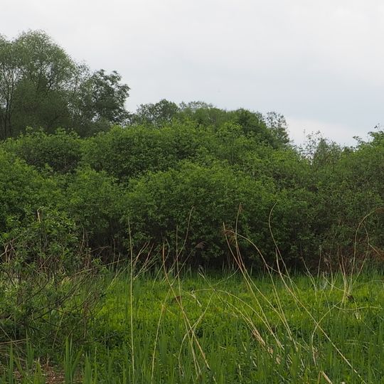 Landschaftsschutzgebiet Heiligenstädter Moos
