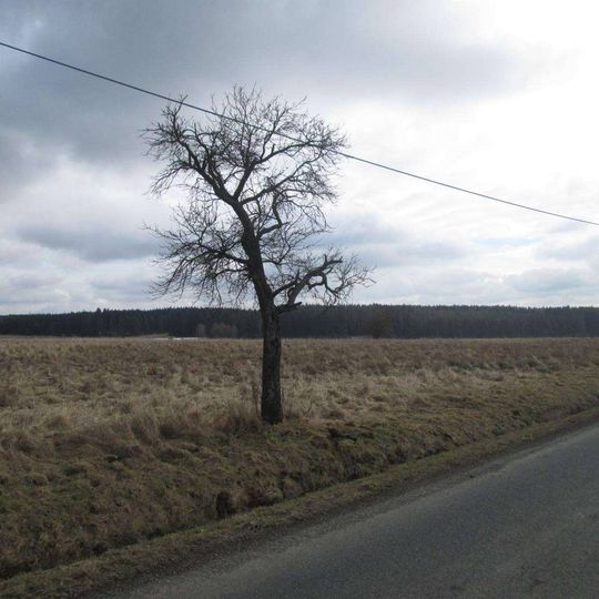 Kříž jižně od Olbramova u silnice