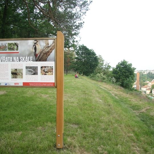 Přírodní bohatství městského parku Hrádek