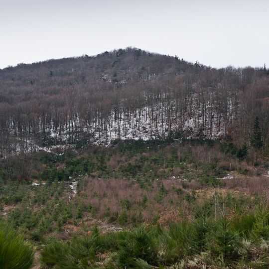 Oppidum du Châtelard