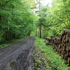 Boitzenburger Tiergarten und Strom