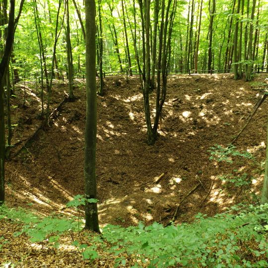 Rezerwat przyrody Bursztynowa Góra