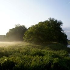 Radzim (województwo wielkopolskie)