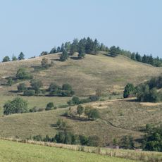 Sędzisz (Masyw Śnieżnika)