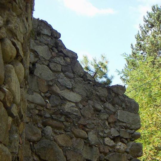 Ruins of Vișina monastery